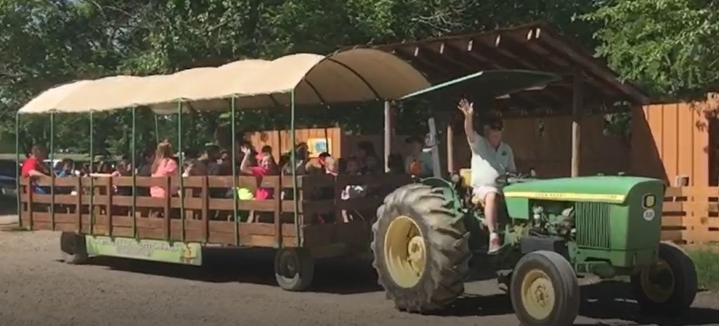 Hay Ride