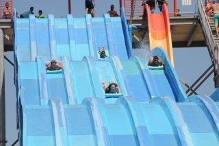 blue racer at pirates cove