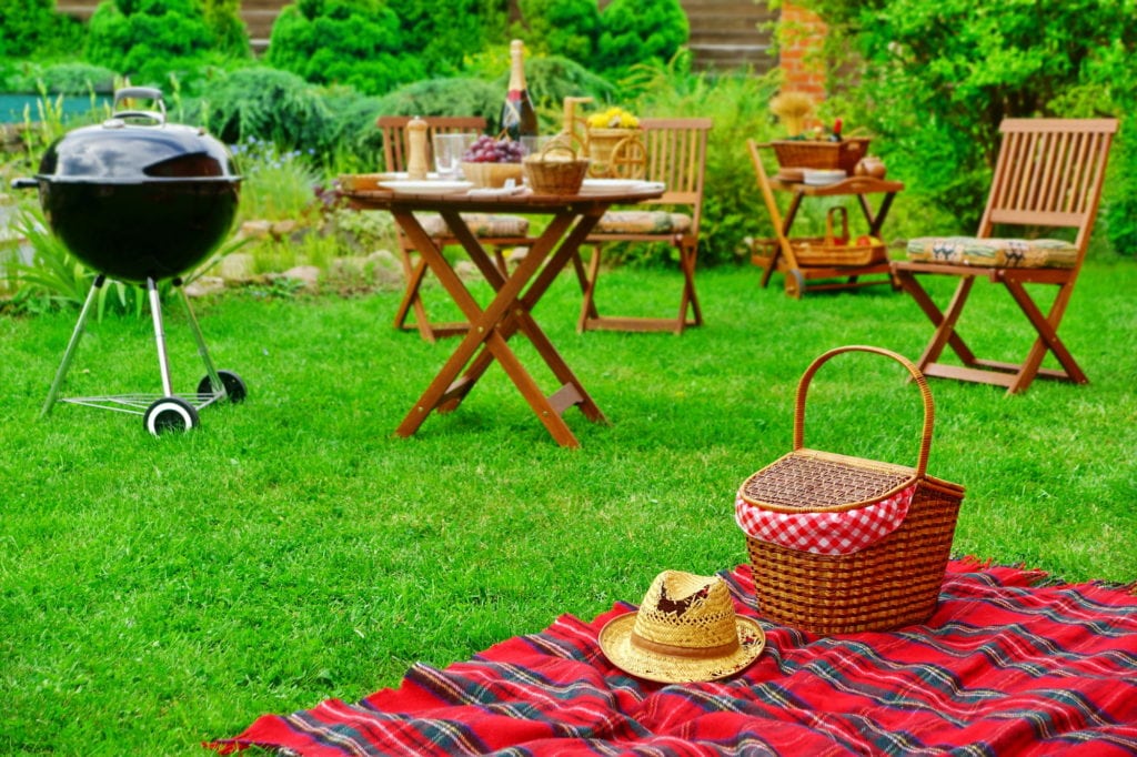 picnic