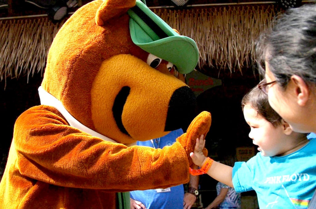 yogi bear high fiving a boy