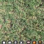 AR Campsite Elements