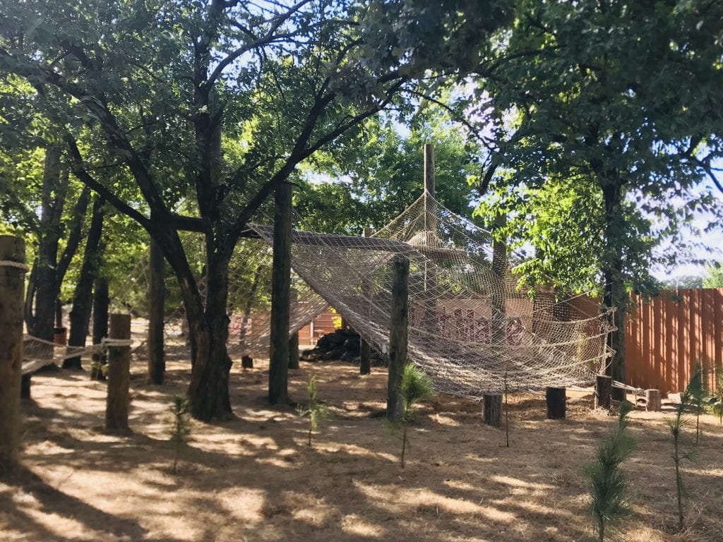 obstacle climb