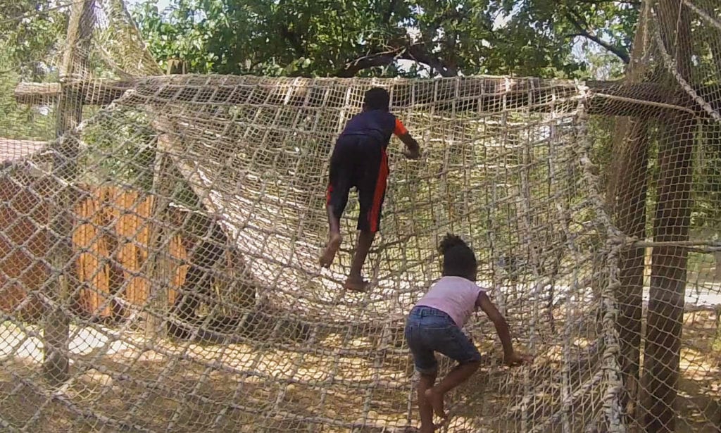 children on obstacle climb