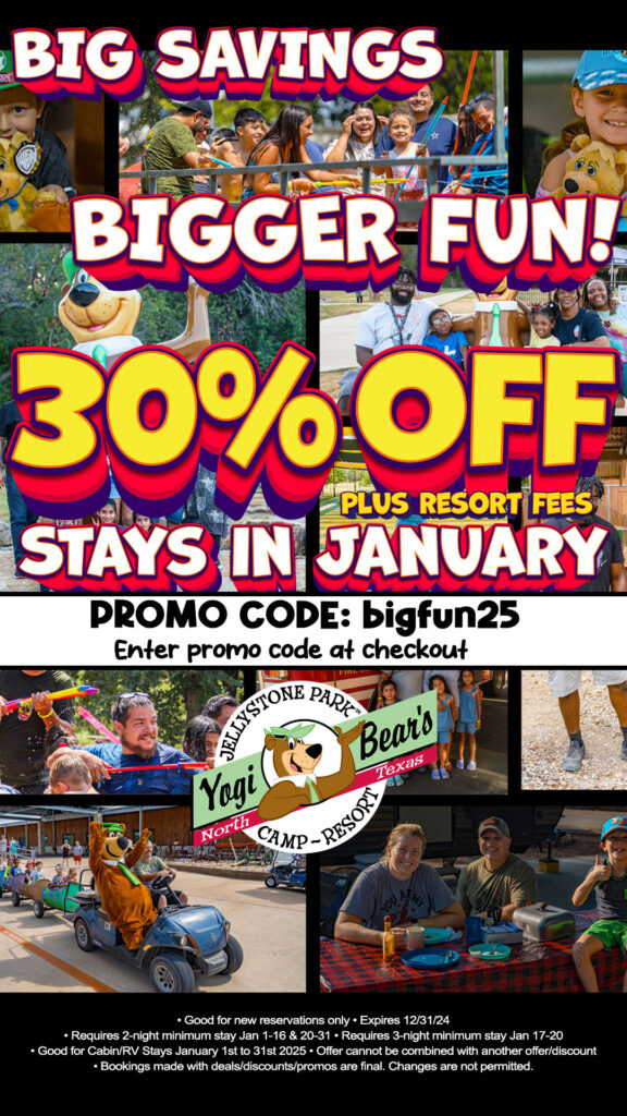 30% OFF January bigfun25
