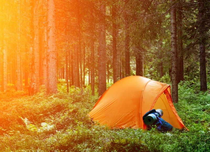 Why Camp? 10 Great Benefits of Camping